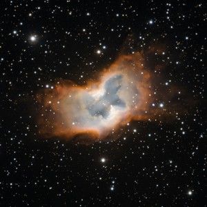 Meet your Posher, Marie